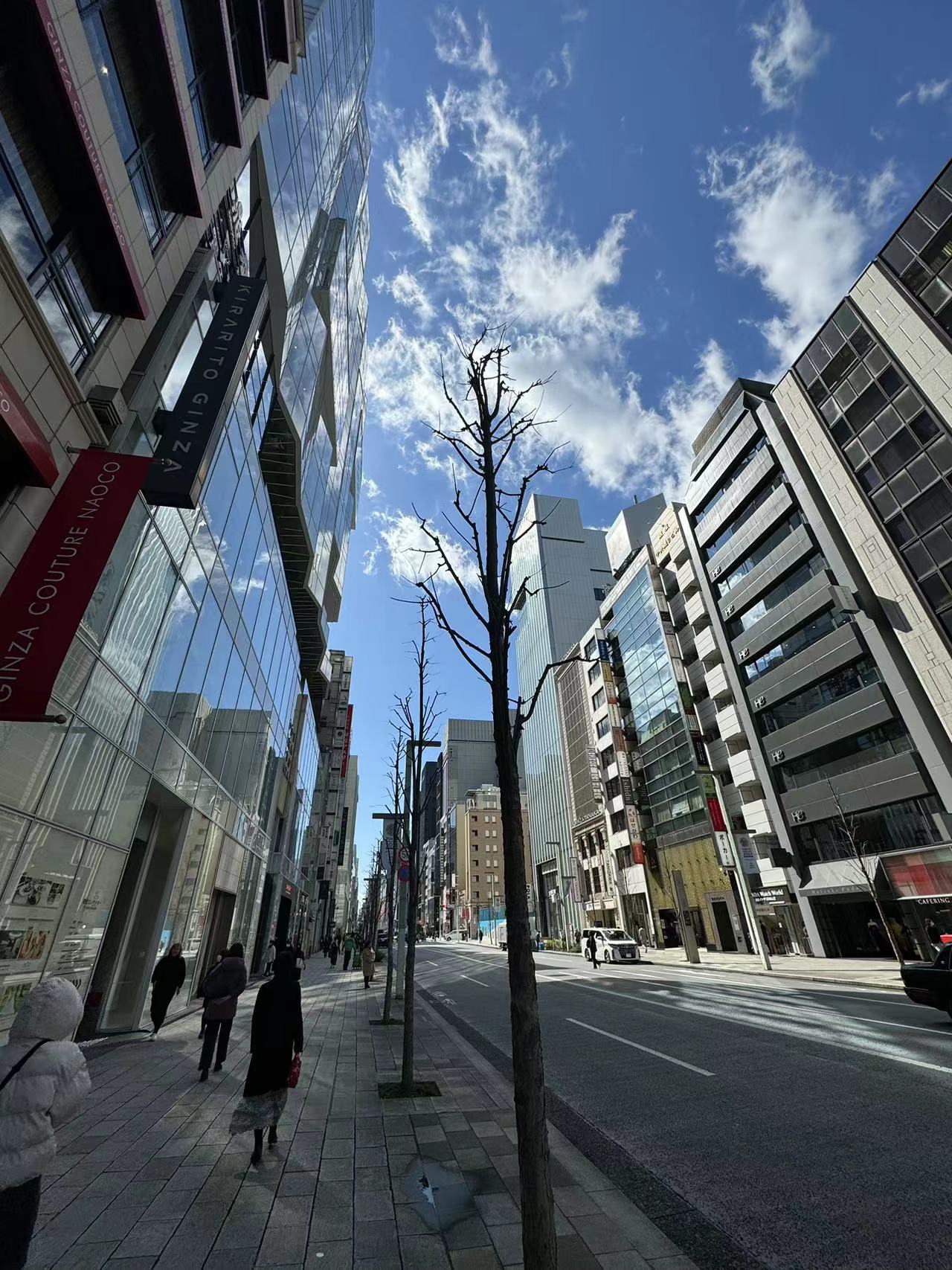 Expanding the Japanese Solar Market: Nano Coating Technology for Efficient Power Generation and Self-Cleaning